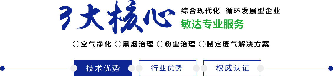 性感内衣美女被别人强奸全过程在线观看的视频的网站敏达环保科技（嘉兴）有限公司